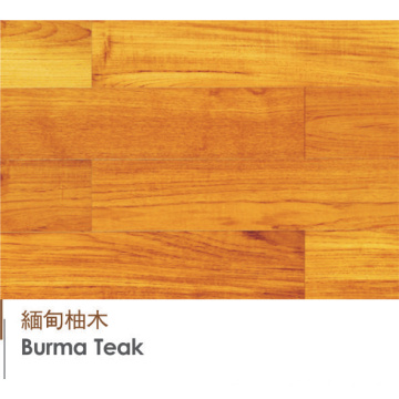 Birmania Golden Teak Engineered Plywood - Suelos de madera laminada